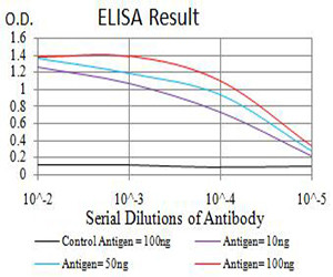 ATG2A Antibody in ELISA (ELISA)