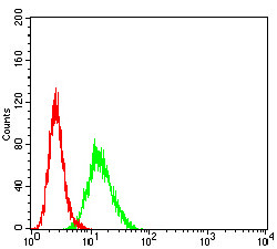 BCL11B Antibody in Flow Cytometry (Flow)