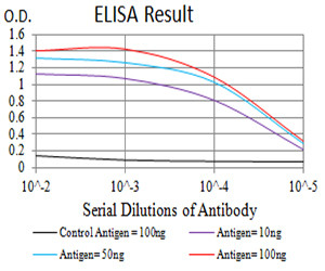 BCL9L Antibody in ELISA (ELISA)