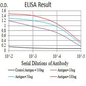 CCR1 Antibody in ELISA (ELISA)