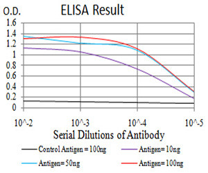 IL1RAPL1 Antibody in ELISA (ELISA)
