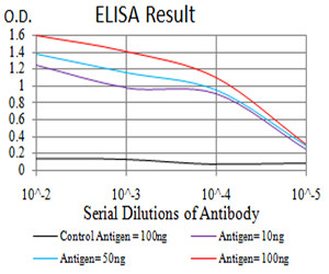 JNK3 Antibody in ELISA (ELISA)