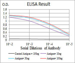 P2Y13 Antibody in ELISA (ELISA)