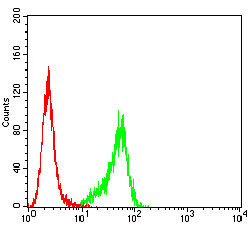 P2Y14 Antibody in Flow Cytometry (Flow)