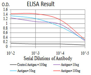 RAB1B Antibody in ELISA (ELISA)