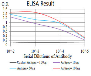 RAD23A Antibody in ELISA (ELISA)