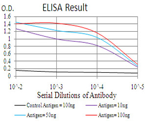 RALA Antibody in ELISA (ELISA)