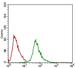 RING1 Antibody in Flow Cytometry (Flow)