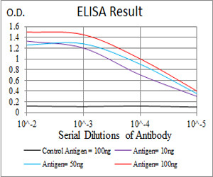 SSH1 Antibody in ELISA (ELISA)