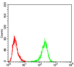 ULK2 Antibody in Flow Cytometry (Flow)