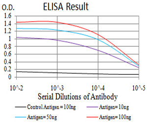 ZFP91 Antibody in ELISA (ELISA)