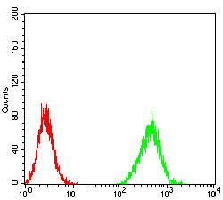 ZFP91 Antibody in Flow Cytometry (Flow)