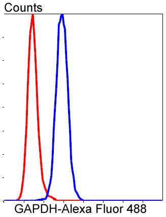 GAPDH Antibody in Flow Cytometry (Flow)