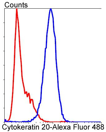 Cytokeratin 20 Antibody in Flow Cytometry (Flow)