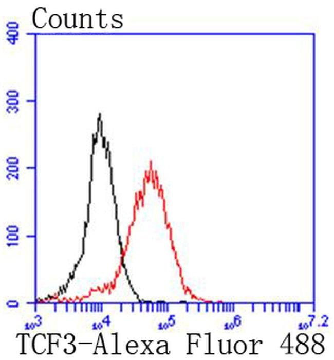 TCF3 Antibody in Flow Cytometry (Flow)