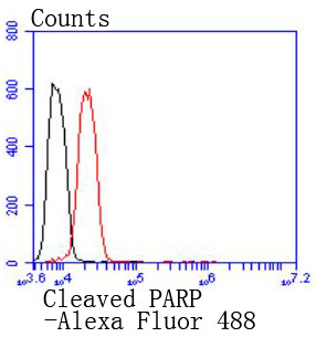 PARP1 (cleaved Asp214) Antibody in Flow Cytometry (Flow)