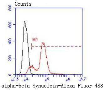 Synuclein alpha/beta Antibody in Flow Cytometry (Flow)