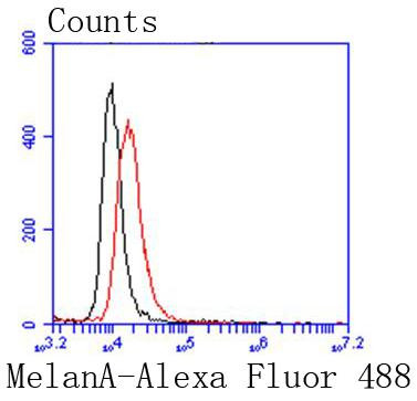 Melan-A Antibody in Flow Cytometry (Flow)