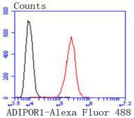 Adiponectin Receptor 1 Antibody in Flow Cytometry (Flow)