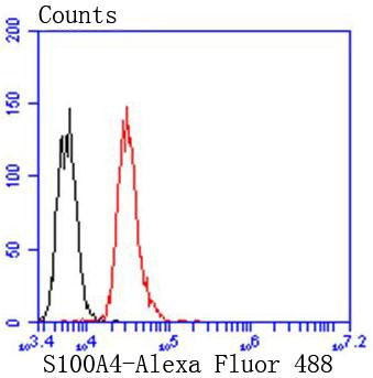 S100A4 Antibody in Flow Cytometry (Flow)