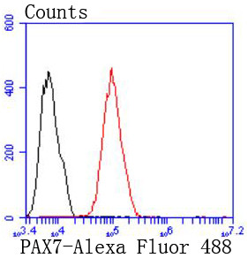 PAX7 Antibody in Flow Cytometry (Flow)