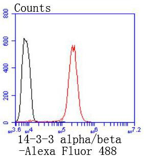 14-3-3 beta Antibody in Flow Cytometry (Flow)