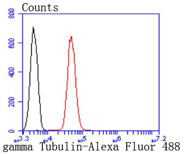 gamma Tubulin Antibody in Flow Cytometry (Flow)