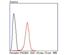 Phospho-RNA pol II CTD (Ser2) Antibody in Flow Cytometry (Flow)