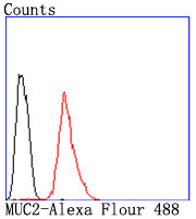 MUC2 Antibody in Flow Cytometry (Flow)