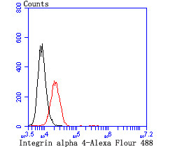 ITGA4 Antibody in Flow Cytometry (Flow)