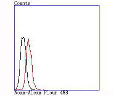 NOXA Antibody in Flow Cytometry (Flow)