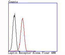 Leptin Receptor Antibody in Flow Cytometry (Flow)