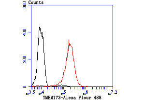 STING Antibody in Flow Cytometry (Flow)