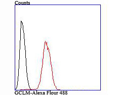 GCLM Antibody in Flow Cytometry (Flow)