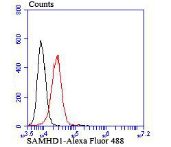 SAMHD1 Antibody in Flow Cytometry (Flow)