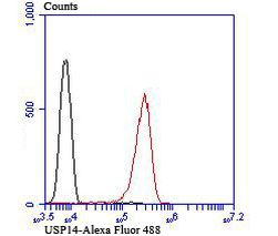 USP14 Antibody in Flow Cytometry (Flow)