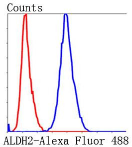 ALDH2 Antibody in Flow Cytometry (Flow)