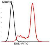 ESD Antibody in Flow Cytometry (Flow)