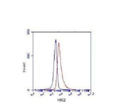 HK2 Antibody in Flow Cytometry (Flow)