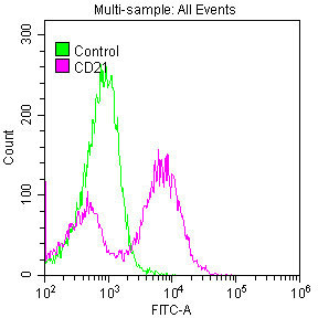 CD21 Antibody in Flow Cytometry (Flow)