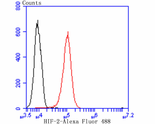 HIF-2 alpha Antibody in Flow Cytometry (Flow)