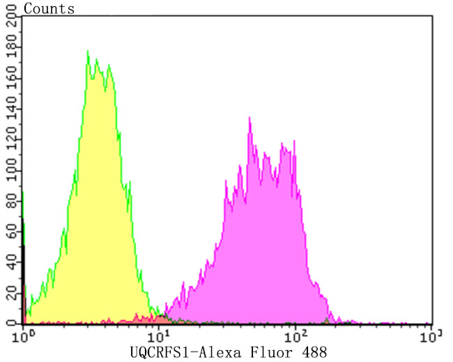 UQCRFS1 Antibody in Flow Cytometry (Flow)