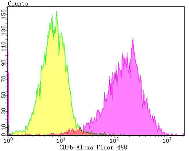 CBF beta Antibody in Flow Cytometry (Flow)