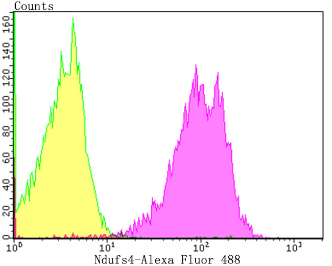 NDUFS4 Antibody in Flow Cytometry (Flow)