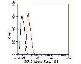 BMP-15 Antibody in Flow Cytometry (Flow)