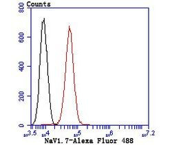 SCN9A Antibody in Flow Cytometry (Flow)