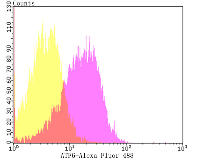 ATF6 Antibody in Flow Cytometry (Flow)