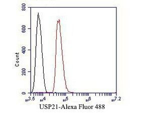 USP21 Antibody in Flow Cytometry (Flow)
