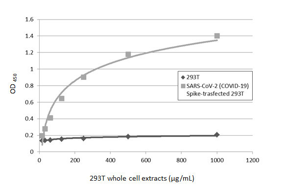 SARS/SARS-CoV-2 Spike Protein S2 Antibody in ELISA (ELISA)