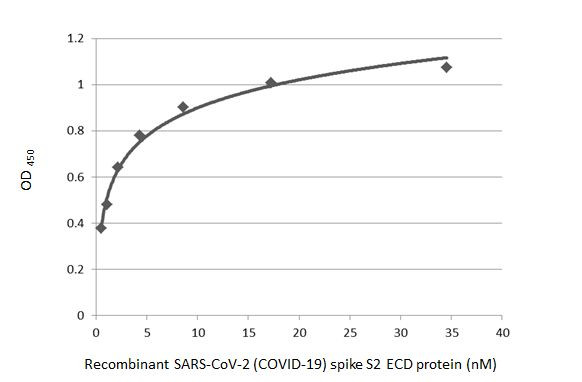 SARS/SARS-CoV-2 Spike Protein S2 Antibody in ELISA (ELISA)